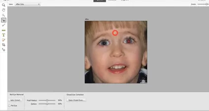 Adobe Photoshop Elements screenshot 3